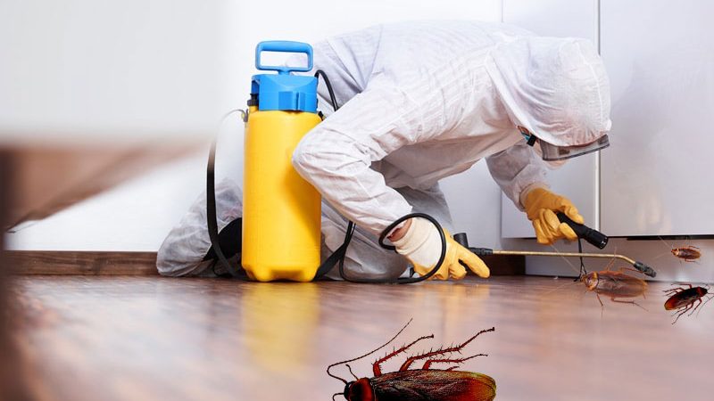 What is an Ideal Pest Control Company in Your Region?