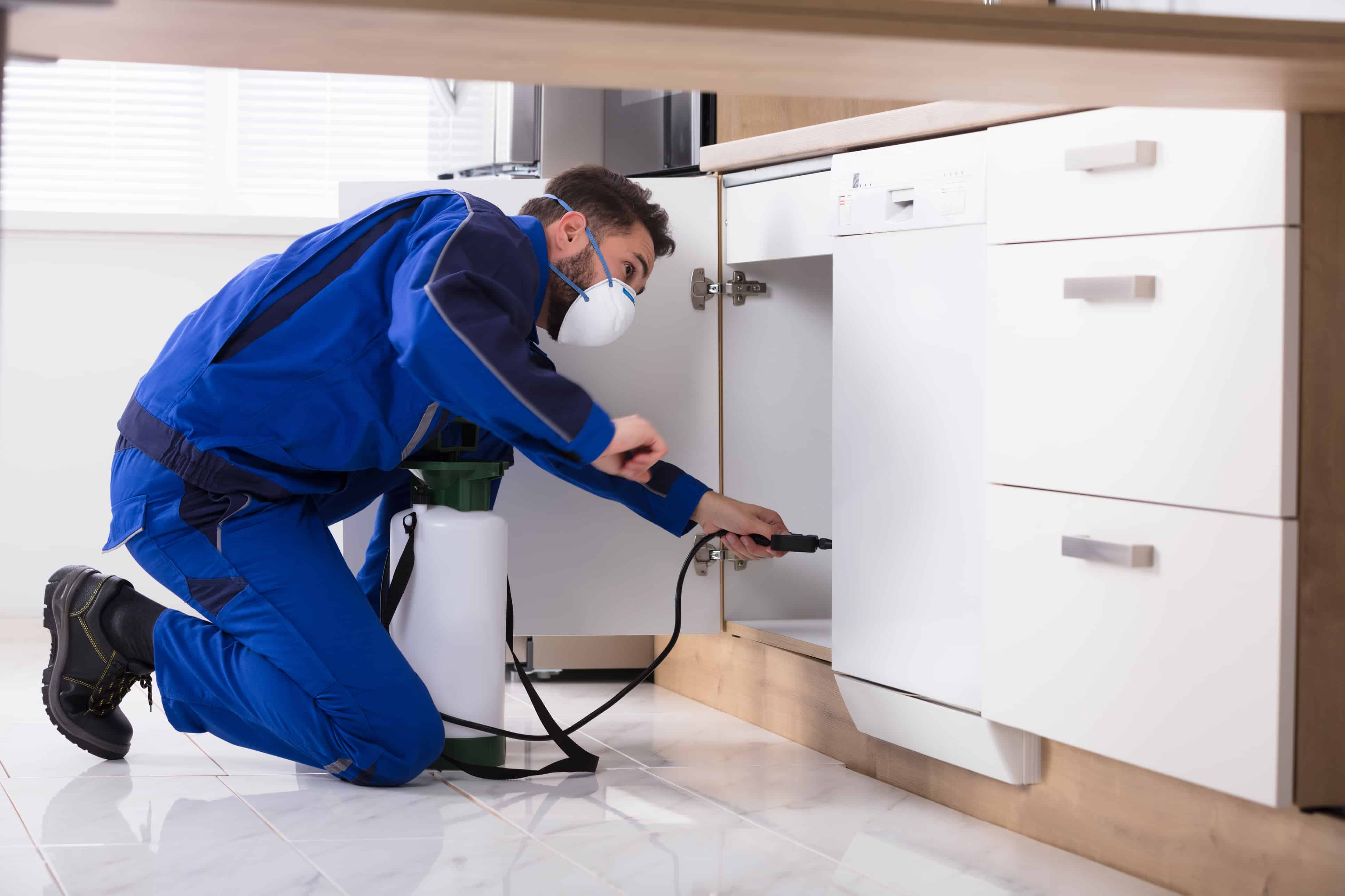 Top Benefits of Pest Control Services