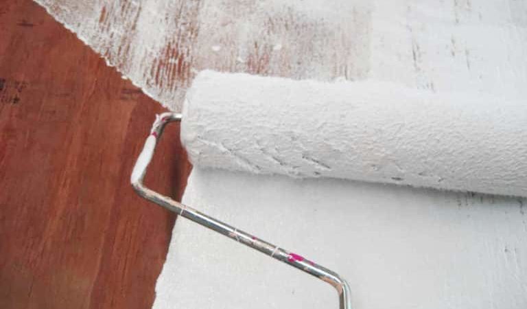 Smartest Options for the Perfect Polished Plastering Process Now