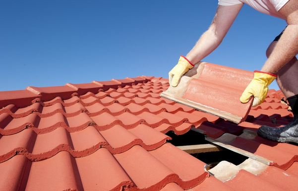 5 Good Reasons to Hire A Professional Roofing Company to Repair Your Roof