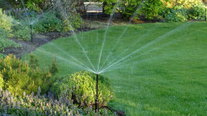 Garden Irrigation Planning Guide