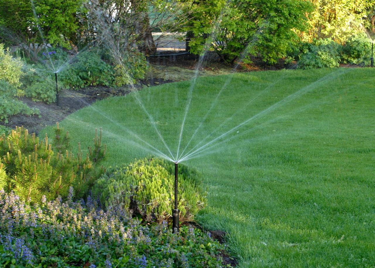 Garden Irrigation Planning Guide