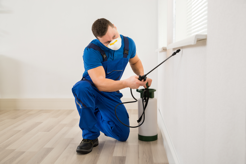 The Pros & Cons of Using Professional Pest Control