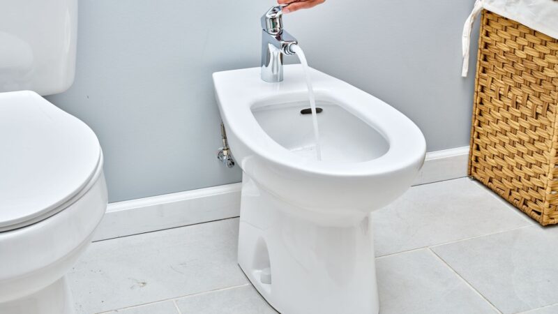 With More Comfort and Luxuriance, Swap Out Your Toilet Seat With a Swan S Pro
